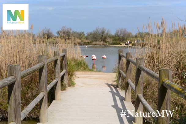 illustration article