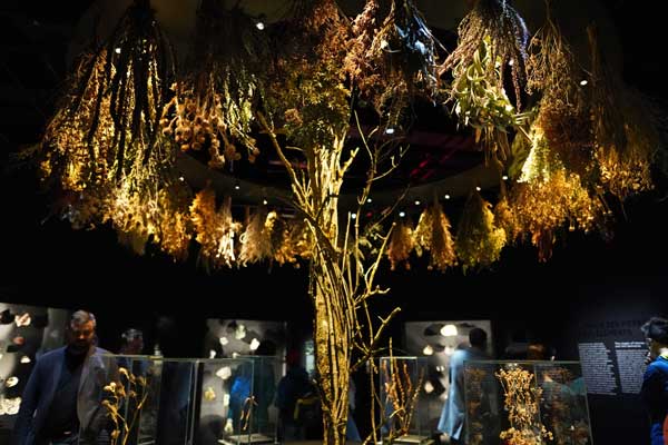 illustration article