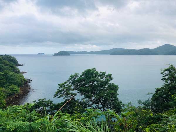 illustration article