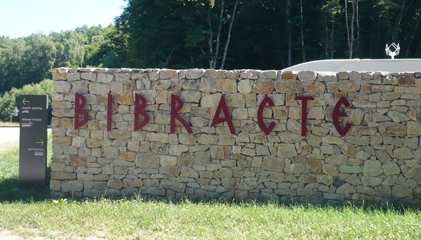 illustration article