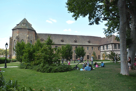 illustration article