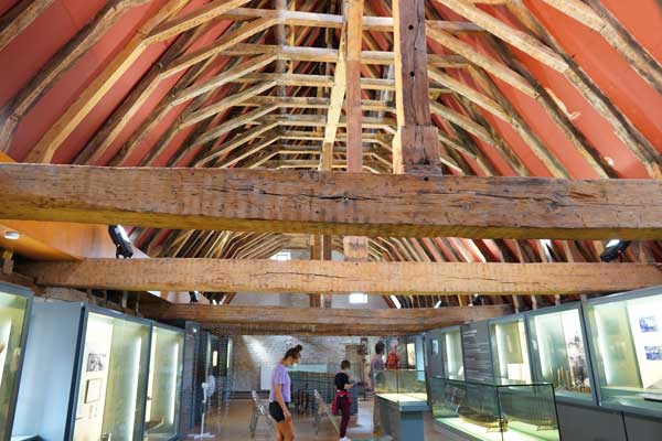 illustration article