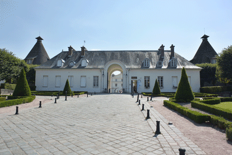 illustration article