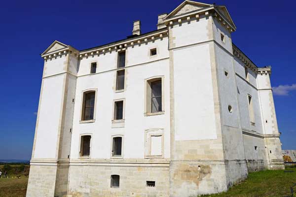 illustration article