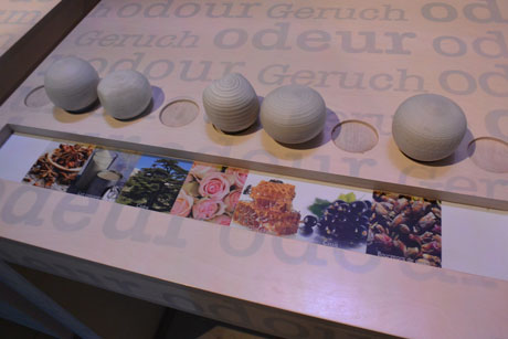 Musée olfactif, le Cassissium, Nuits-St-Georges, Cassis