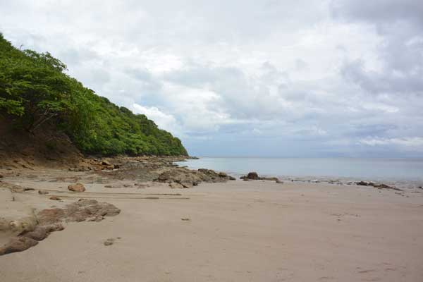 nature comme héritage : l’exemple du Costa Rica, blog culture, faune et flore, voyage, tourisme, Pura Vida