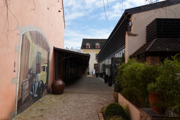  visite « Sensations fortes », Moutarderie Fallot, Beaune, moutarde, blog culture, visites test