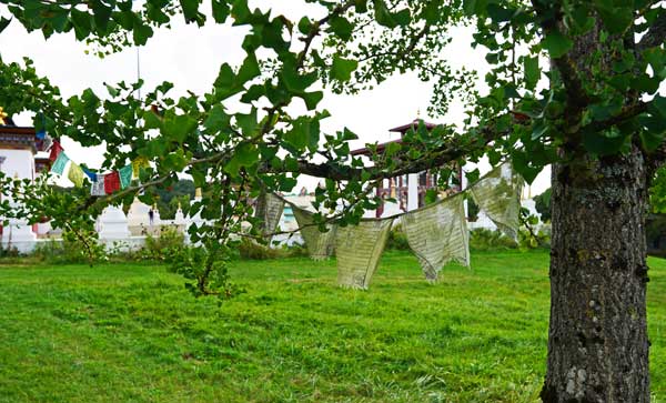 temple bouddhiste Paldenshangpa, mille bouddhas, temple tibétain, bouddhisme, bourgogne, morvan, la boulaye, visite culture, blog culture, découverte