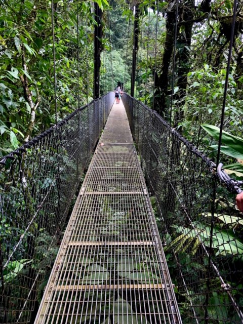 nature comme héritage : l’exemple du Costa Rica, blog culture, faune et flore, voyage, tourisme, Pura Vida
