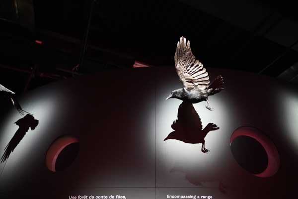 Magique, Musée des Confluences, magie, exposition, société, sorcier, sorcière, blog culture