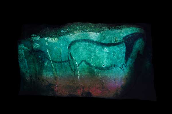 Art et Préhistoire, exposition, Musée de l’Homme, MNHN, Paris, musée