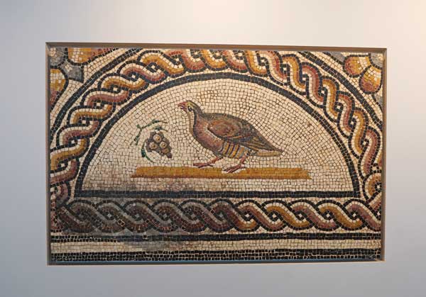 Saint-Romain-en-Gal, musée, site, archéologie, romain, visite, blog culture