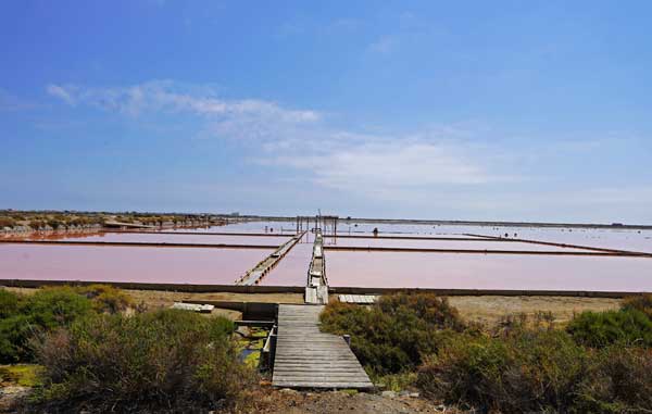 visite guidée du Salin de Gruissan, saline, marais salants, Narbonne, visite test