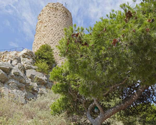 visite guidée du Salin de Gruissan, saline, marais salants, Narbonne, visite test