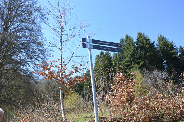 Bibracte, forêt du Morvan, Mont Beuvray
