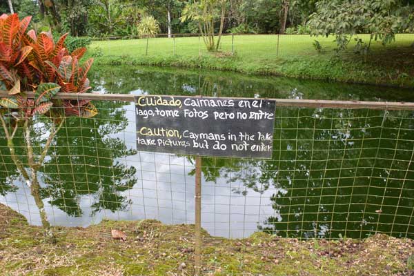 nature comme héritage : l’exemple du Costa Rica, blog culture, faune et flore, voyage, tourisme, Pura Vida