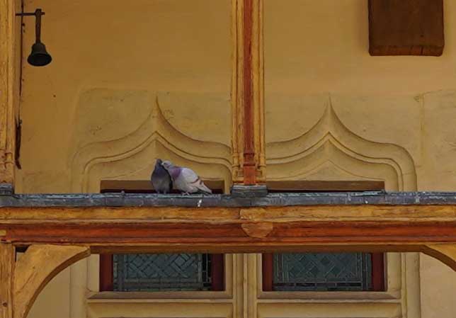 Hospices de Beaune, musée, Beaune, patrimoine, toit vernissé, Cote d’Or, Bourgogne, Blog culture