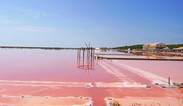 visite guidée du Salin de Gruissan, saline, marais salants, Narbonne, visite test