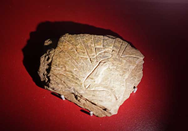 Art et Préhistoire, exposition, Musée de l’Homme, MNHN, Paris, musée