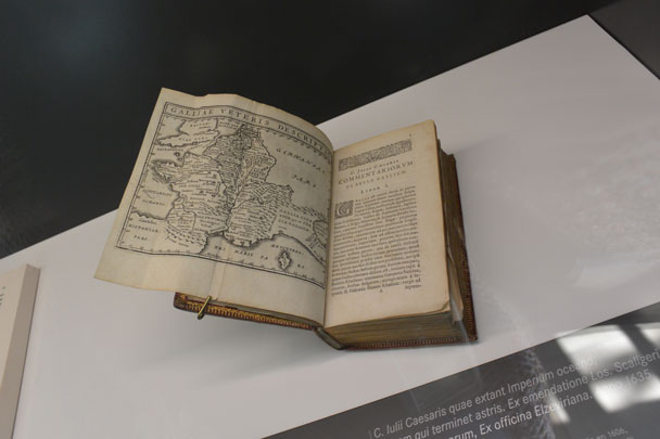 Bibracte, forêt du Morvan, Mont Beuvray