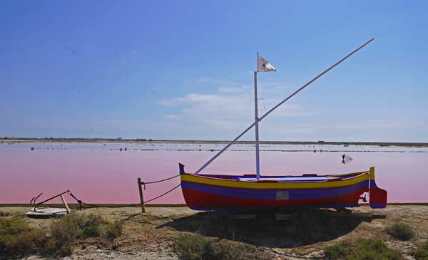 visite guidée du Salin de Gruissan, saline, marais salants, Narbonne, visite test