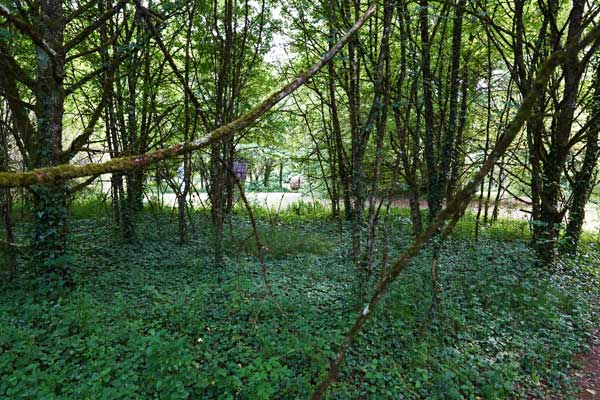 Ile Art, Malans, Pesmes, Haute Saône, Musée ciel ouvert, Art contemporain, Sculpture, forêt, blog culture