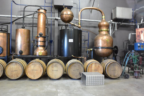 Liquoristerie, le Cassissium, Nuits-St-Georges, Cassis, visite test