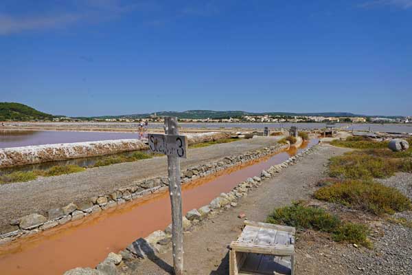 visite guidée du Salin de Gruissan, saline, marais salants, Narbonne, visite test