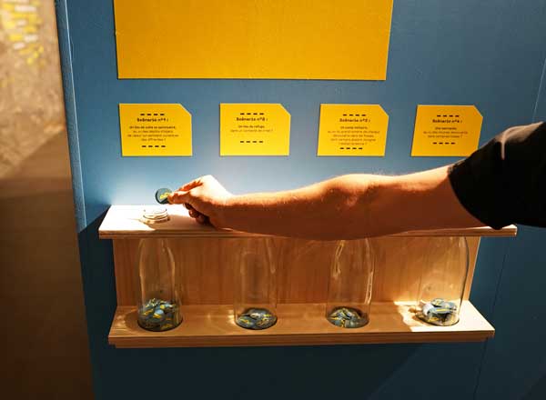 Sacré Mormont, Bibracte, exposition, archéologie, enquête, musée, blog culture