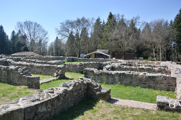 Bibracte, forêt du Morvan, Mont Beuvray