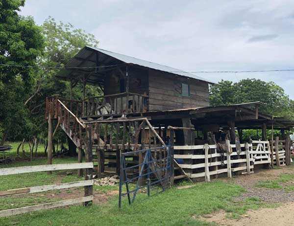 nature comme héritage : l’exemple du Costa Rica, blog culture, faune et flore, voyage, tourisme, Pura Vida