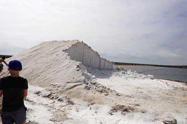visite guidée du Salin de Gruissan, saline, marais salants, Narbonne, visite test